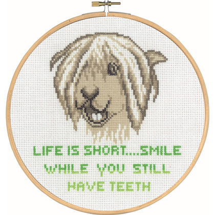 Life is short Smile while you still have teeth